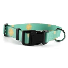 Top Pet Collar Producent